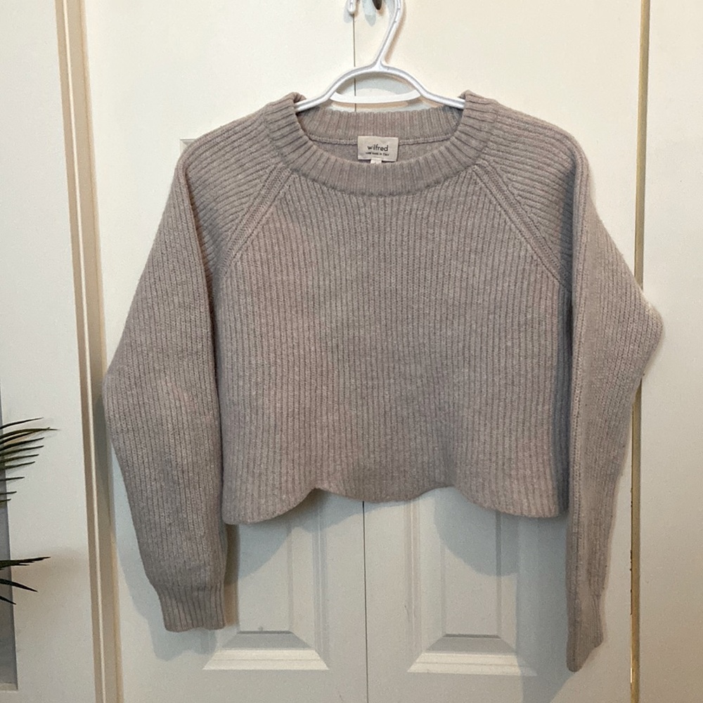 Aritzia Wilfred Sweater